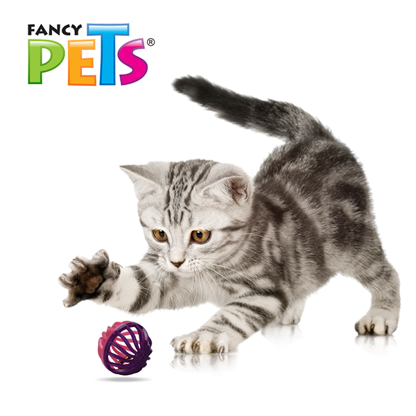 📦🐱 Juguete Pelota Bicolor 4 Piezas