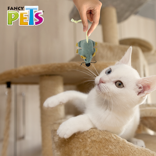 📦🐱 Juguete Ratón Mini Catch