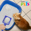 🥣🐱 Arena para Gato Flush Away
