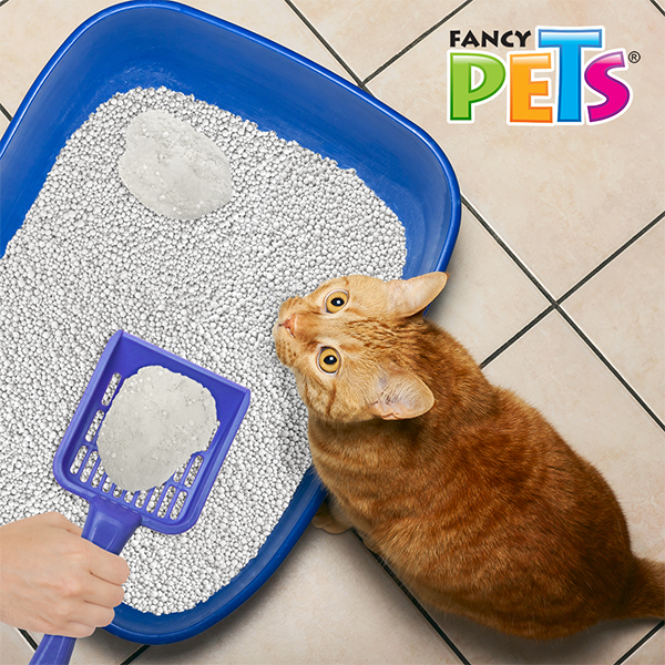 🥣🐱 Arena para Gato Flush Away