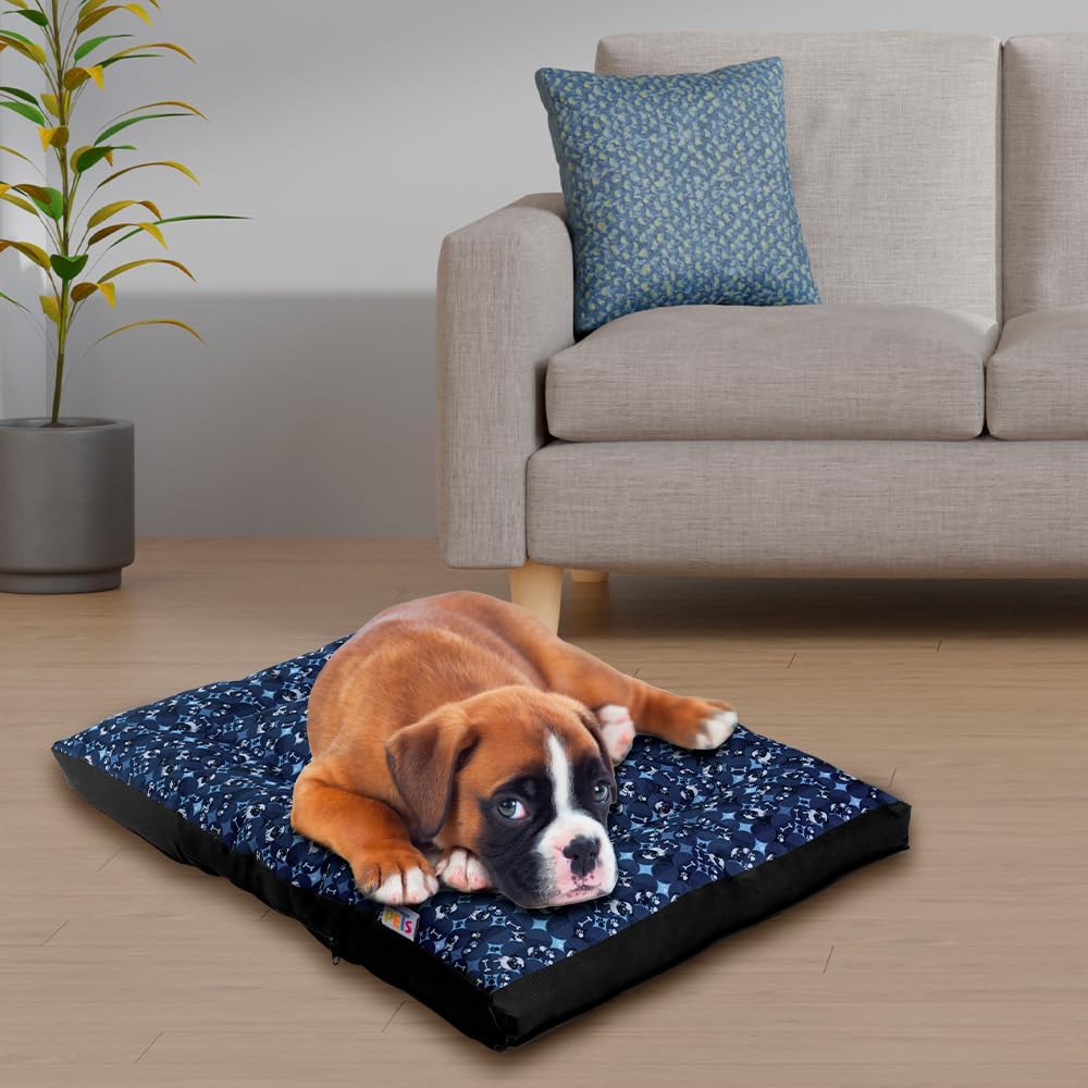 🐾✨ Colchoneta Ortopédica Buggie Mediana – Colores Surtidos: 75 X 52 X 8 cm