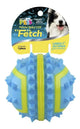 Pelota Spiky Fetch | Fancy Pets