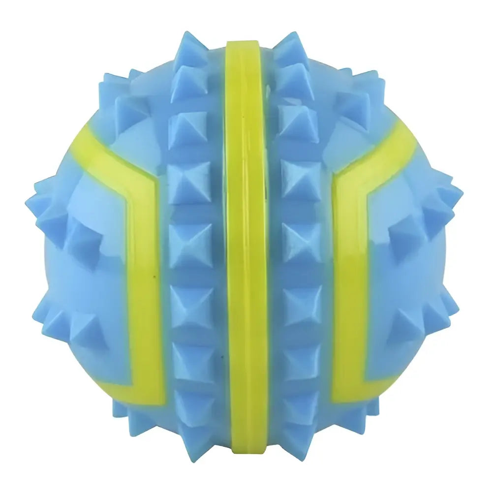 Pelota Spiky Fetch | Fancy Pets