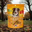 Galletas Fancy Pets Yummy - Sabor queso (100gr)