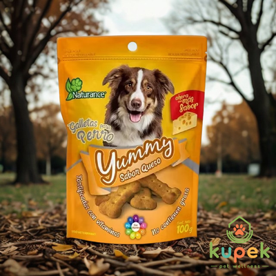 Galletas Fancy Pets Yummy - Sabor queso (100gr)