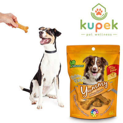 Galletas Fancy Pets Yummy - Sabor queso (100gr)