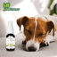 🌿✨ Kit de Aromaterapia "Relajación" 60 ml Fancy Pets