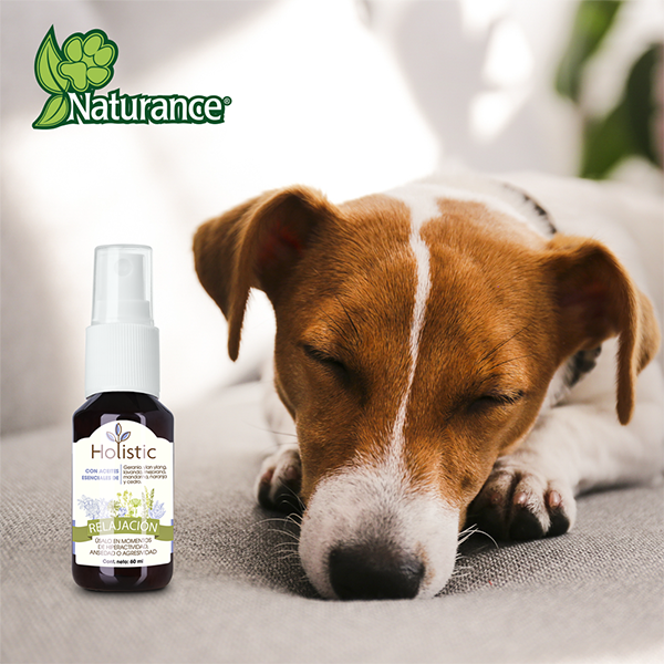 🌿✨ Kit de Aromaterapia "Relajación" 60 ml Fancy Pets