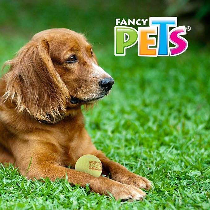 Juguete Pelota Grande de Tenis con Squeaker