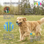 Pelota Spiky Fetch | Fancy Pets