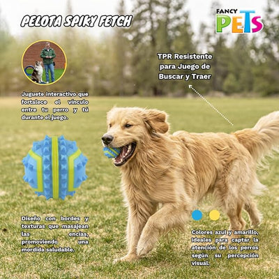 Pelota Spiky Fetch | Fancy Pets