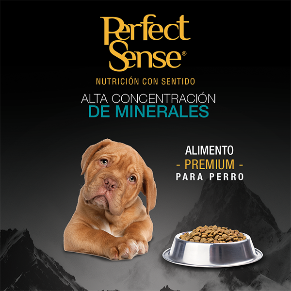 🐶🦴 Alimento Seco Perfect Sense® Cachorro Razas Medianas, Grandes y Gigantes (MLB) 3kg