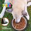 🥣🐶 Tazón Ligero de Acero Fancy Pets