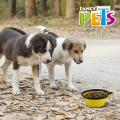 🥣🐶 Plato Plegable para Viaje Fancy Pets colores sujetos a disponibilidad