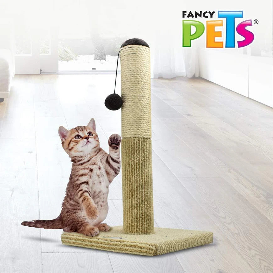 🐱🐾Poste Rascador para Gato de 55cm Fancy Pets