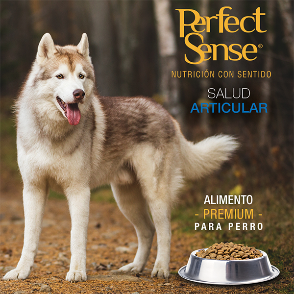 🐶🦴 Perfect Sense® Adulto Razas Medianas y Grandes (MLB) 3kg