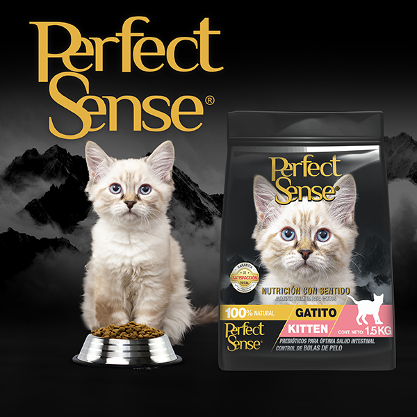 🐱🐾 Alimento Seco Perfect Sense® Gatito (2 a 12 Meses), hembras gestantes y hembras en lactancia 1.5 kg
