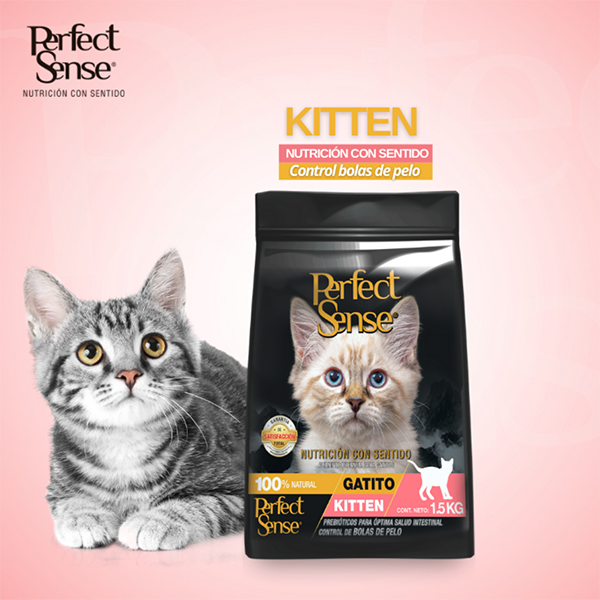 🐱🐾 Alimento Seco Perfect Sense® Gatito (2 a 12 Meses), hembras gestantes y hembras en lactancia 1.5 kg