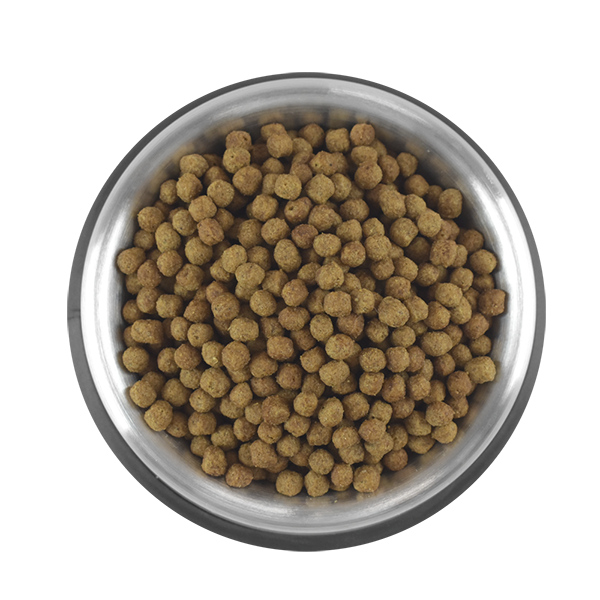 🐶🦴 Alimento Seco Perfect Sense® Senior (Todas las Razas - 7+ Años) 3Kg