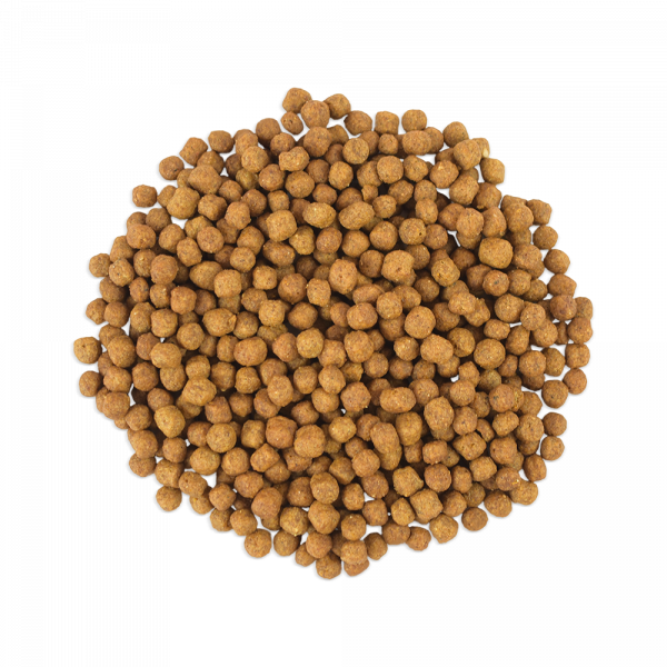 🐶🦴 Alimento Seco Perfect Sense® Sensitive (Todas las Etapas y Razas) 3KG