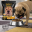 🐶🦴 Alimento Seco Perfect Sense® Sensitive (Todas las Etapas y Razas) 3KG