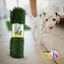 🌱🔄 Repuesto de Pasto Doggie Grass