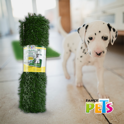 🌱🔄 Repuesto de Pasto Doggie Grass