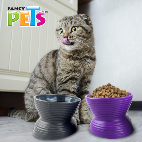 🥣🐱 Set de 2 Tazones Elevados e Inclinados para Gato Fancy Pets