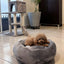 🛏️✨ Cama Antiestrés para Perros Kupek CH M GDE