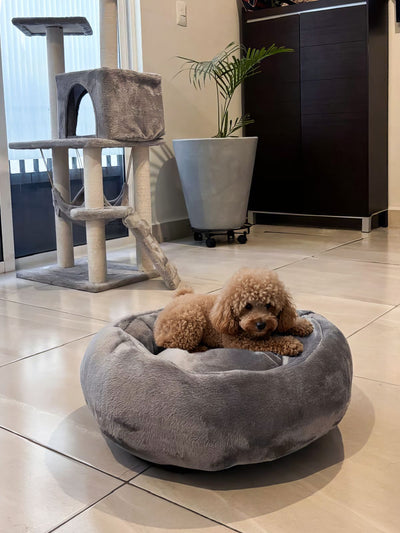 🛏️✨ Cama Antiestrés para Perros Kupek CH M GDE