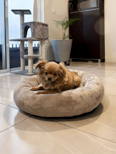 🛏️✨ Cama Antiestrés para Perros Kupek CH M GDE