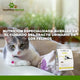 Felino Urinary Management