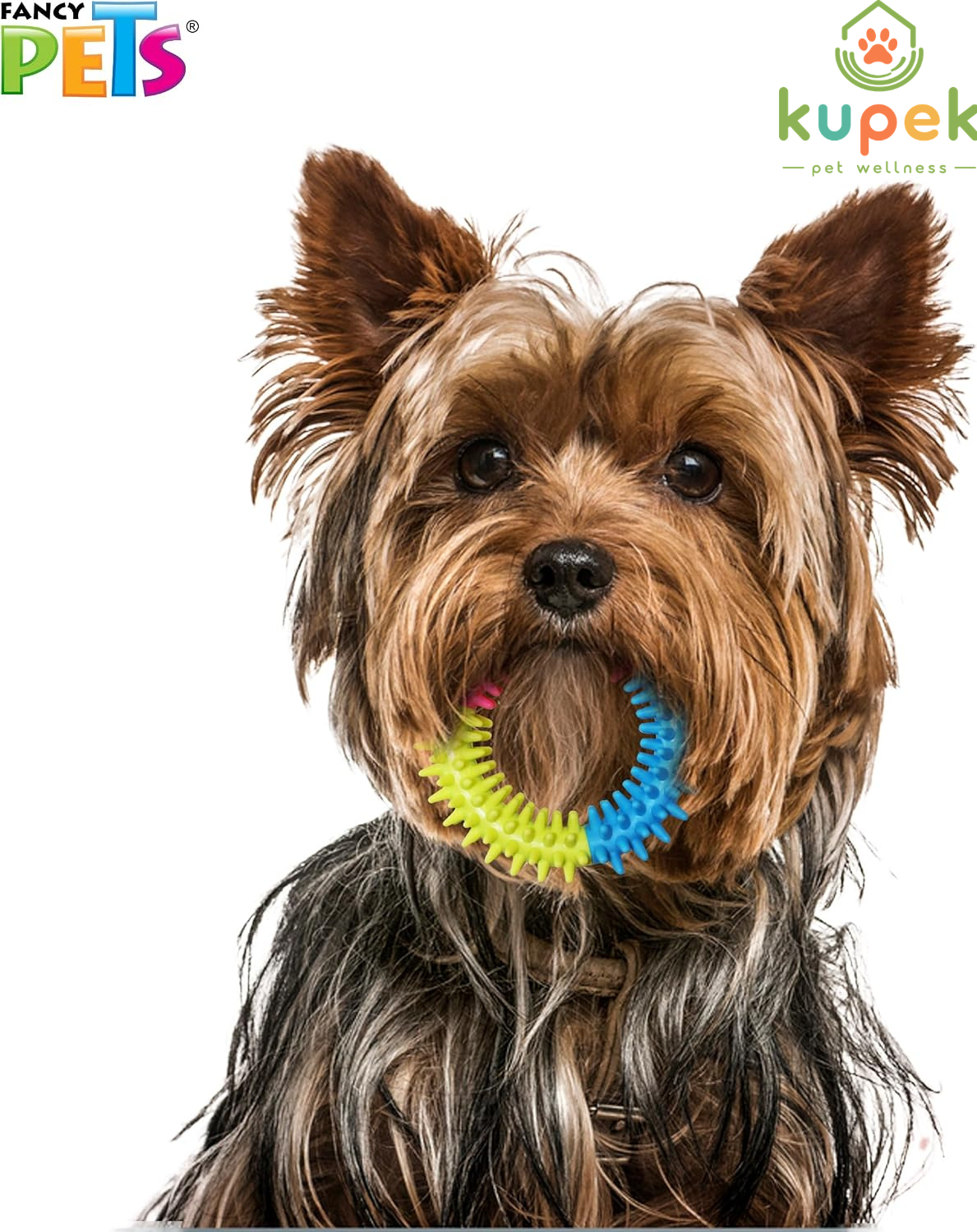 Juguete Aro Tricolor de Caucho Fancy Pets