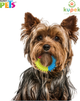 Juguete Aro Tricolor de Caucho Fancy Pets