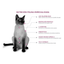 Felino Renal Care