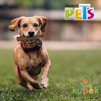 Juguete Rama Bambú Plus Sabor Carne | Fancy Pets TIEMPO DE ENTREGA DE 7 A 10 DIAS