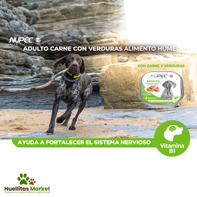 Perro Adulto