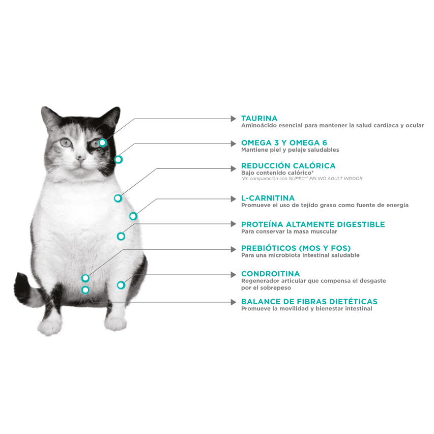 Felino Weight Care