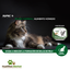 Felino Hairball
