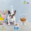 Mezcla para Pastel Fancy Pets Yummy (100 g)