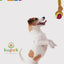 Juguete Jaladera con Doble Nudo y Pelota Fancy Pets