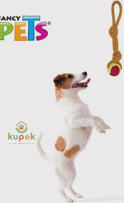 Juguete Jaladera con Doble Nudo y Pelota Fancy Pets