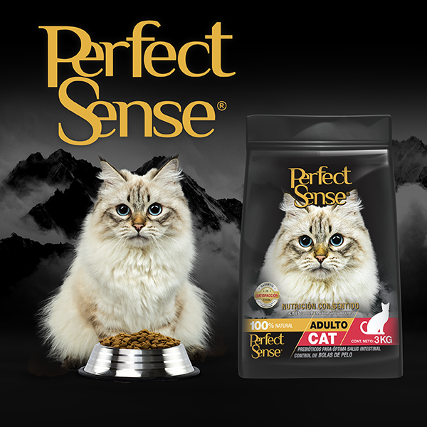 🐱🐾 Perfect Sense® Gato Adulto (Todas las Razas - 12+ Meses)