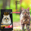 🐱🐾 Perfect Sense® Gato Adulto (Todas las Razas - 12+ Meses)