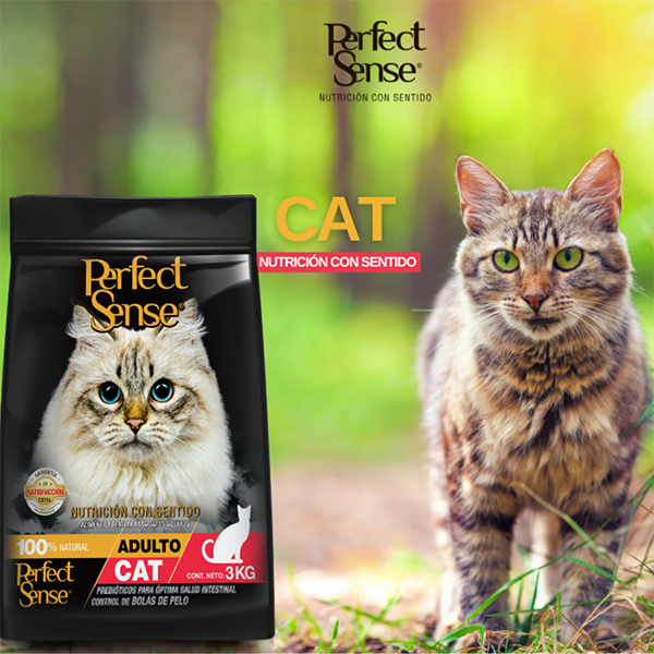 🐱🐾 Perfect Sense® Gato Adulto (Todas las Razas - 12+ Meses)