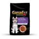 Cachorro Razas Medianas y Grandes