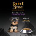 🐶🦴Alimento Seco Perfect Sense® Cachorro Raza Pequeña 3kg
